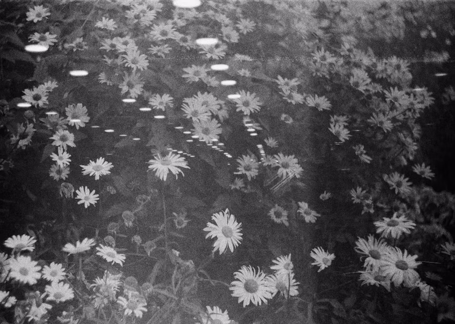 在 macOS 上构建多用户服务管理 TUI